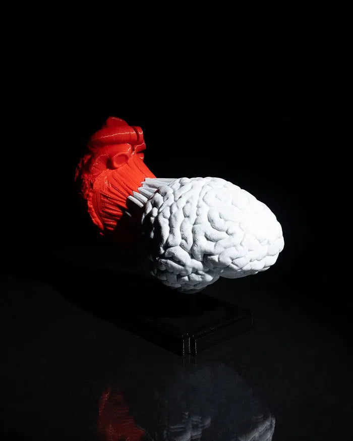 Heart_and_Mind_Recuperado2_1527e404d8