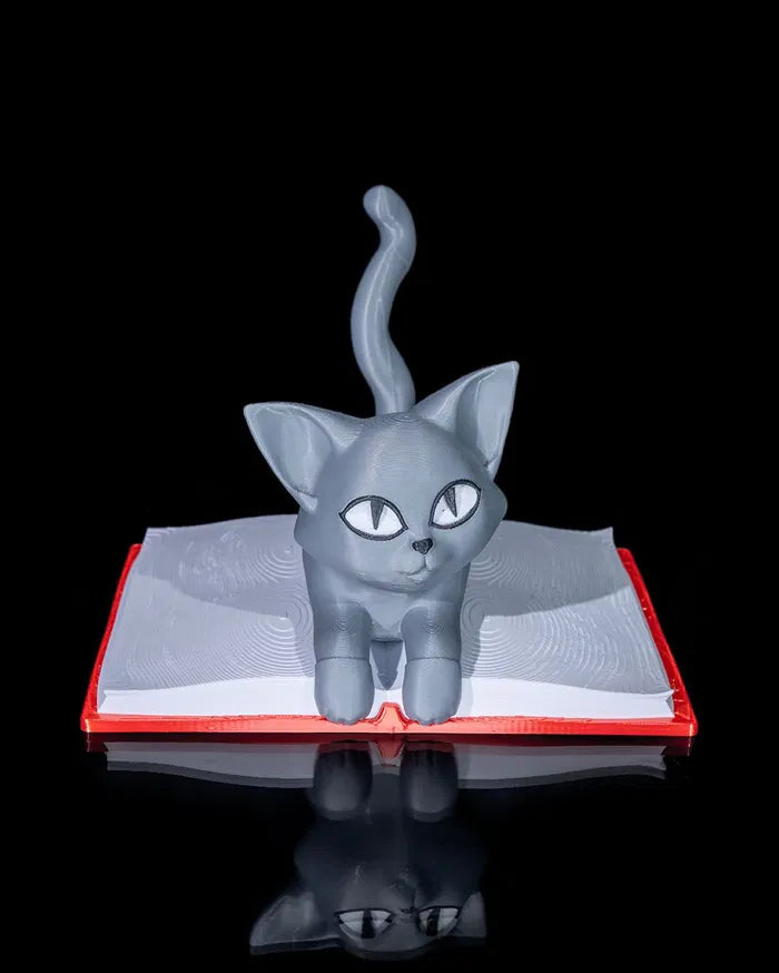 Cattus_Librum_2_0bee5c8fc6