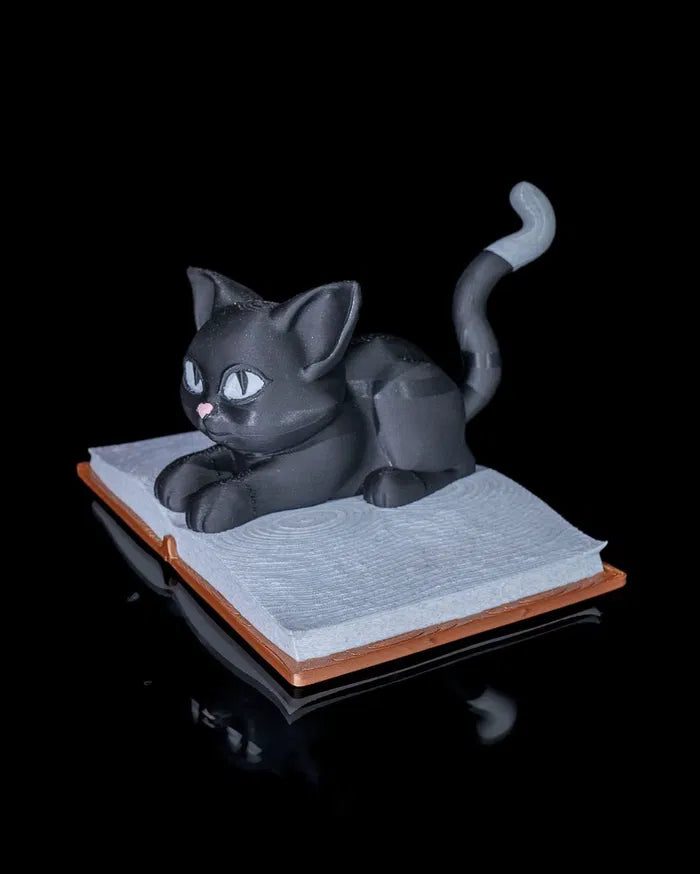 Cattus_Librum_3_e370bb7e9e