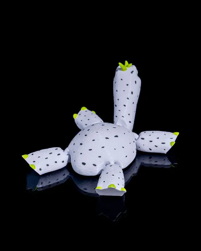 Turtle_Fruit_6_72a73a114a