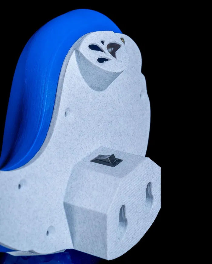 Baby_Whale_4_729d31a0b4