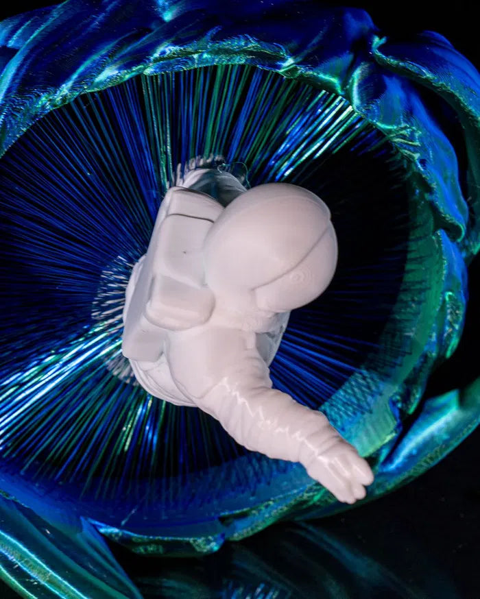 THE_ASTRONAUT_4_2cb4f8b42d