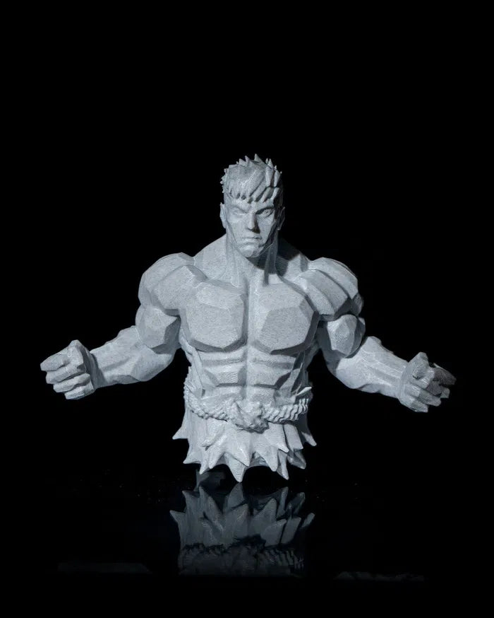 Super_Warrior_2_6f330a5cbe