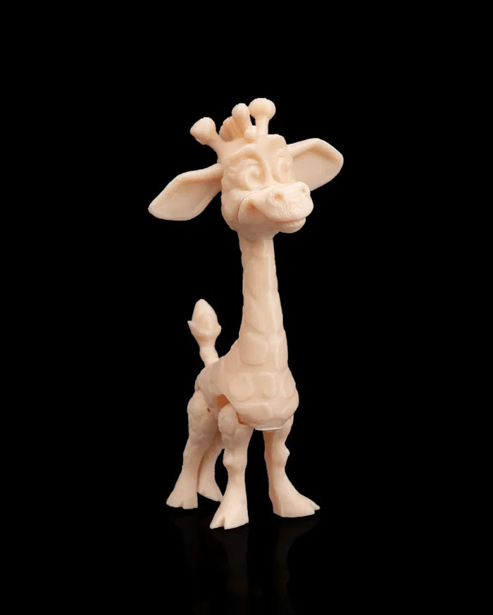 Pair_of_Giraffes_6_692ed8f584