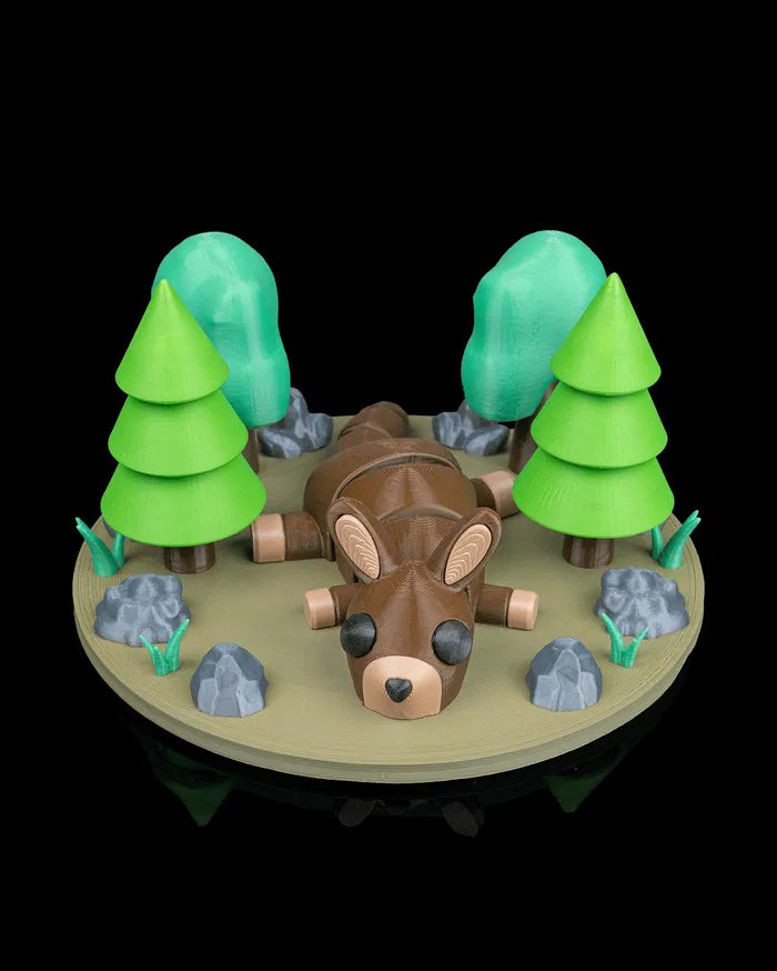 Kangaroo_Quiet7_dbfa9787e1