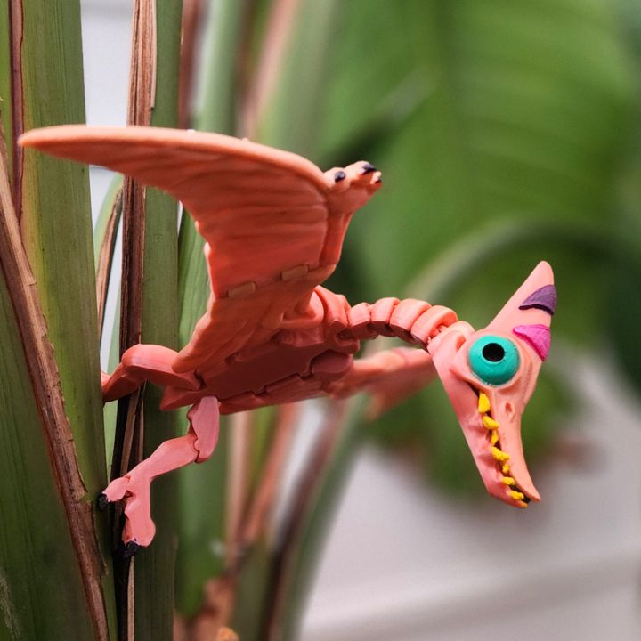 720X720-20240805-152711.66b12be080d75-66b12befdfd60