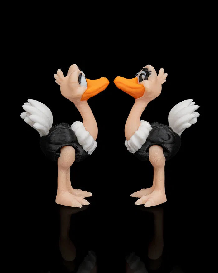 Pair_of_Ostriches2_eda9d611ef