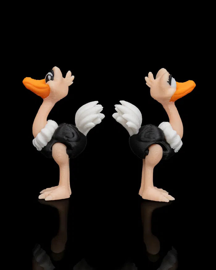 Pair_of_Ostriches4_2987677b4f