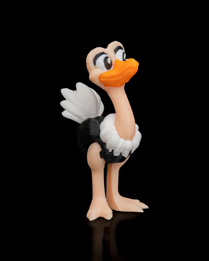 Pair_of_Ostriches5_e0aa99feef