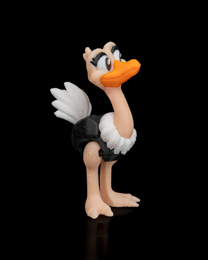 Pair_of_Ostriches6_fb3d02d41b