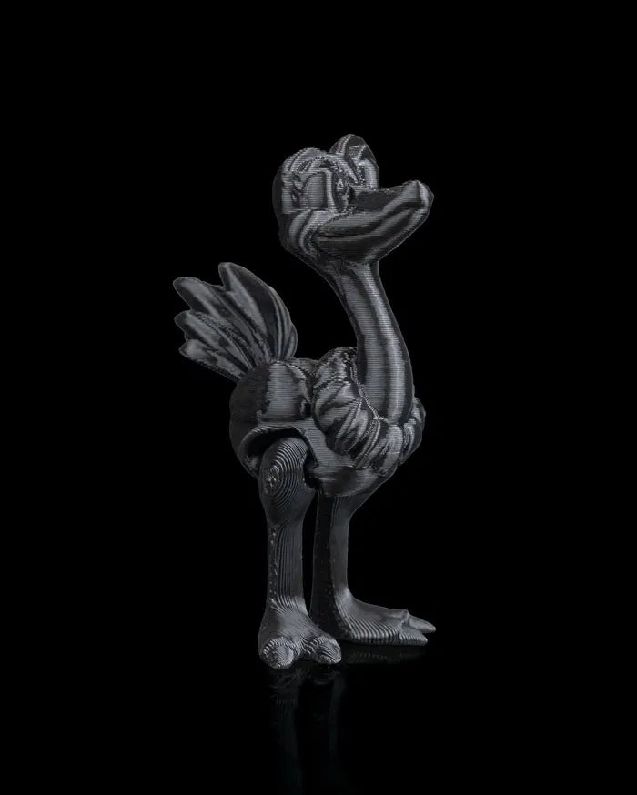 Pair_of_Ostriches7_b67f01e365