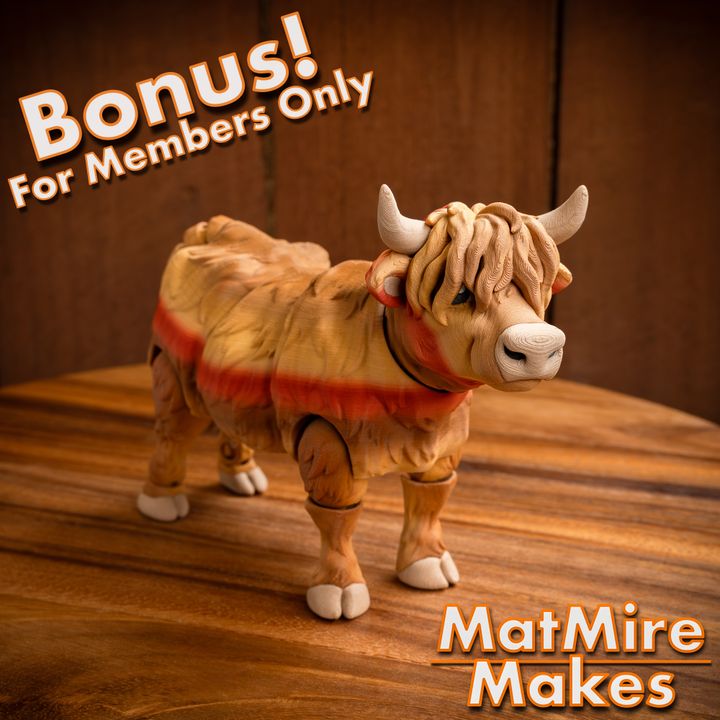 720X720-HighlandCow-15 copy