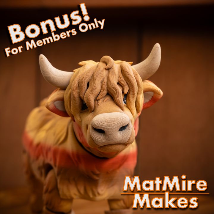 720X720-HighlandCow-3 copy