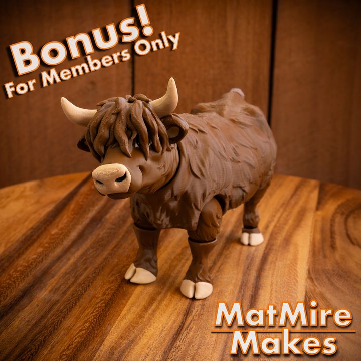 720X720-HighlandCow-6 copy2