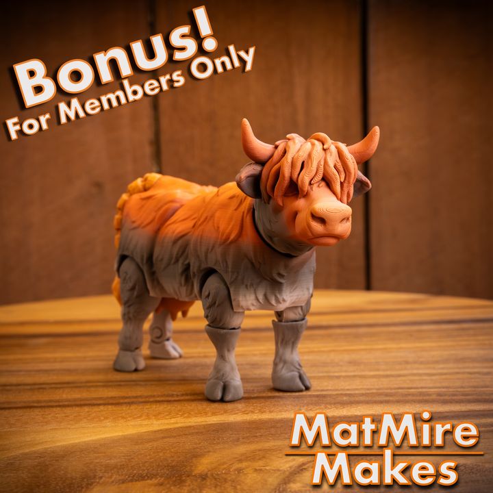 720X720-HighlandCow-9 copy