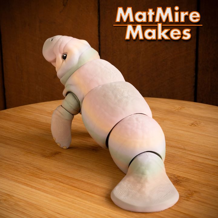 720X720-manatee-14 copy 2