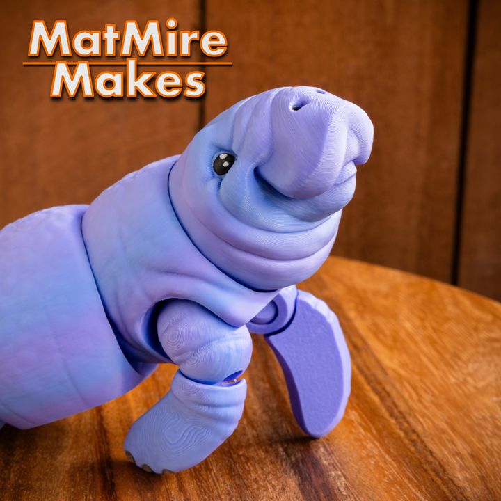 720X720-manatee-19 copy