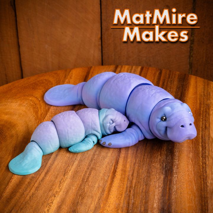 720X720-manatee-20 copy
