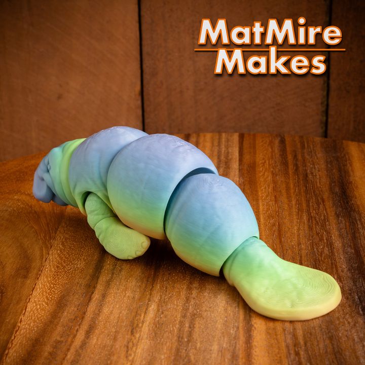 720X720-manatee-22 copy