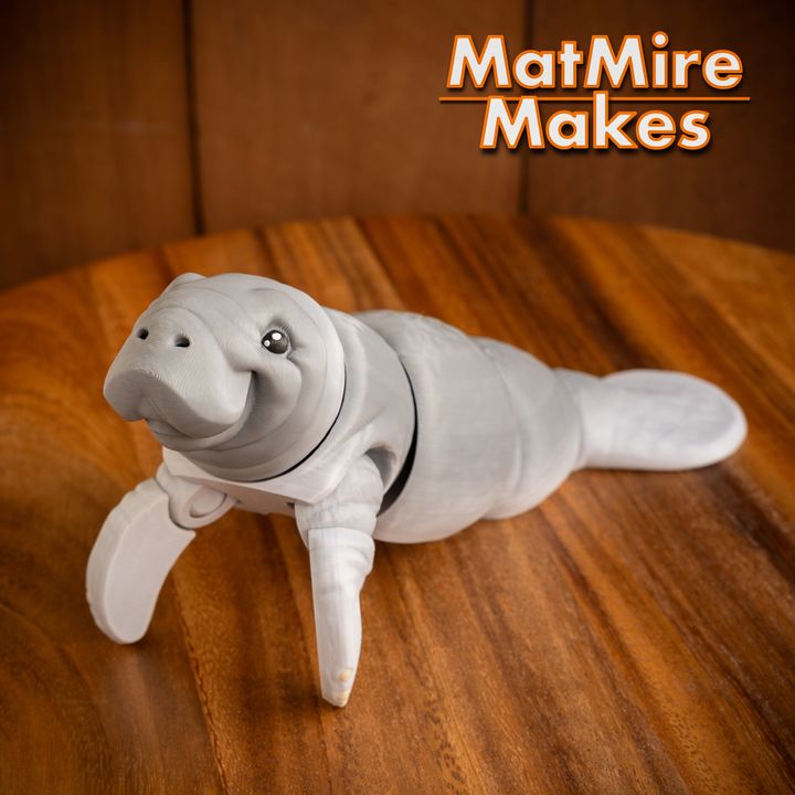 720X720-manatee-25 copy