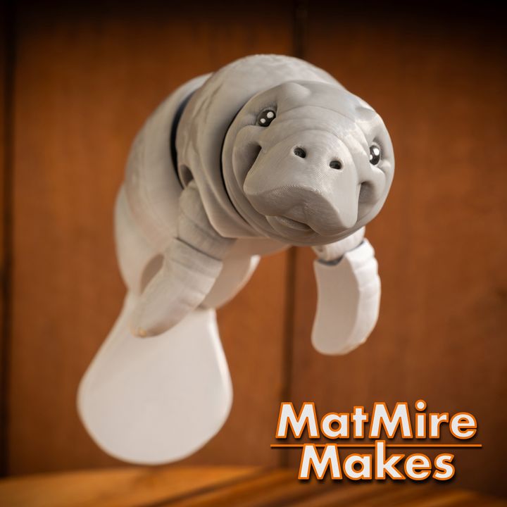 720X720-manatee-28 copy