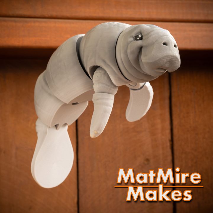 720X720-manatee-29 copy