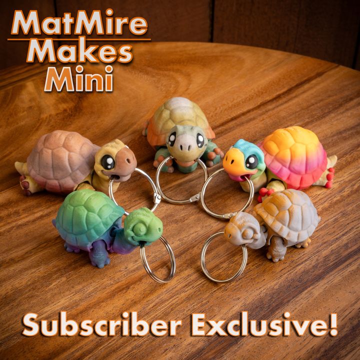 720X720-MMMini_Tortoise-1 copy