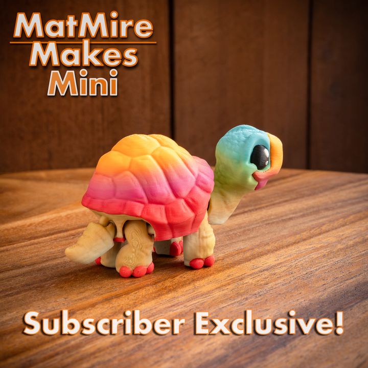 720X720-MMMini_Tortoise-12 copy