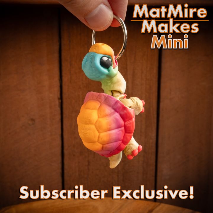 720X720-MMMini_Tortoise-2 copy