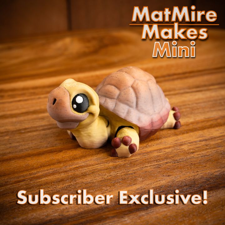 720X720-MMMini_Tortoise-7 copy