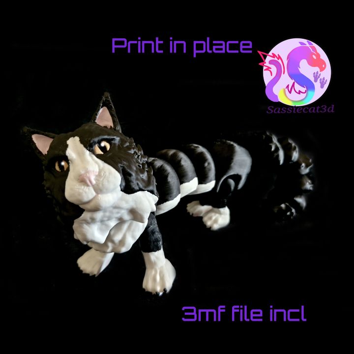 720X720-mccat_normal