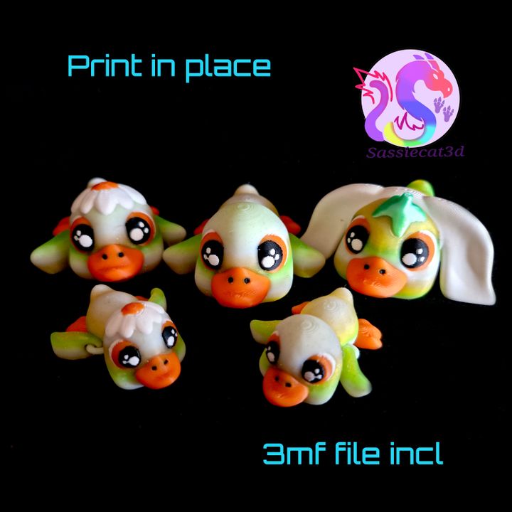 720X720-Ducks_normal