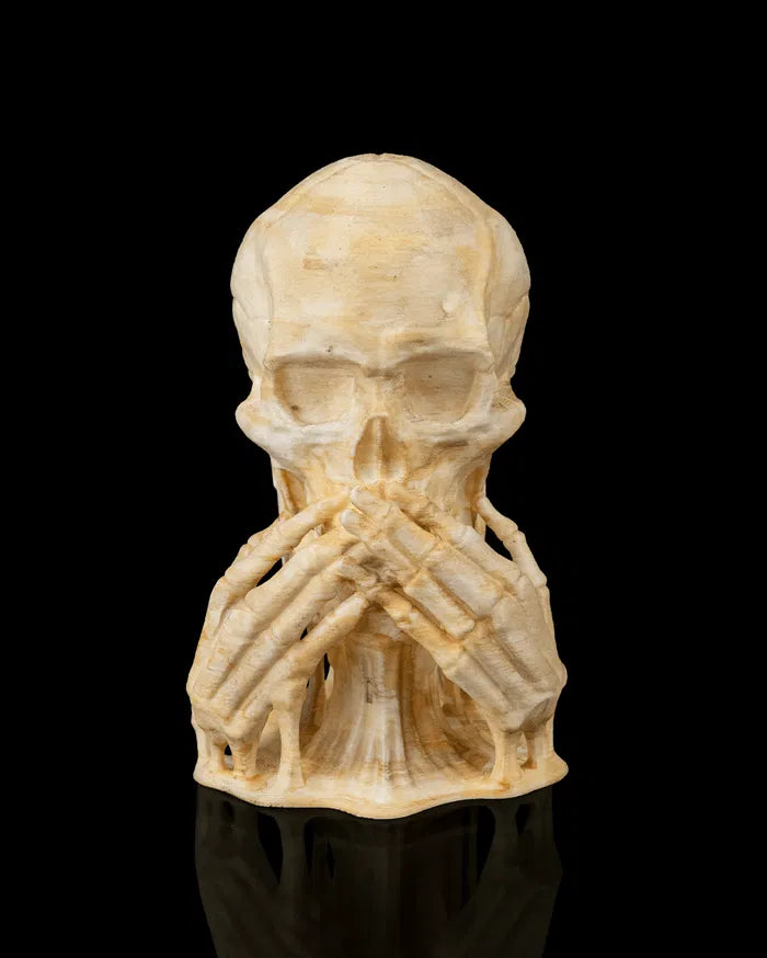 Skulls_of_Wisdom3_b822726966