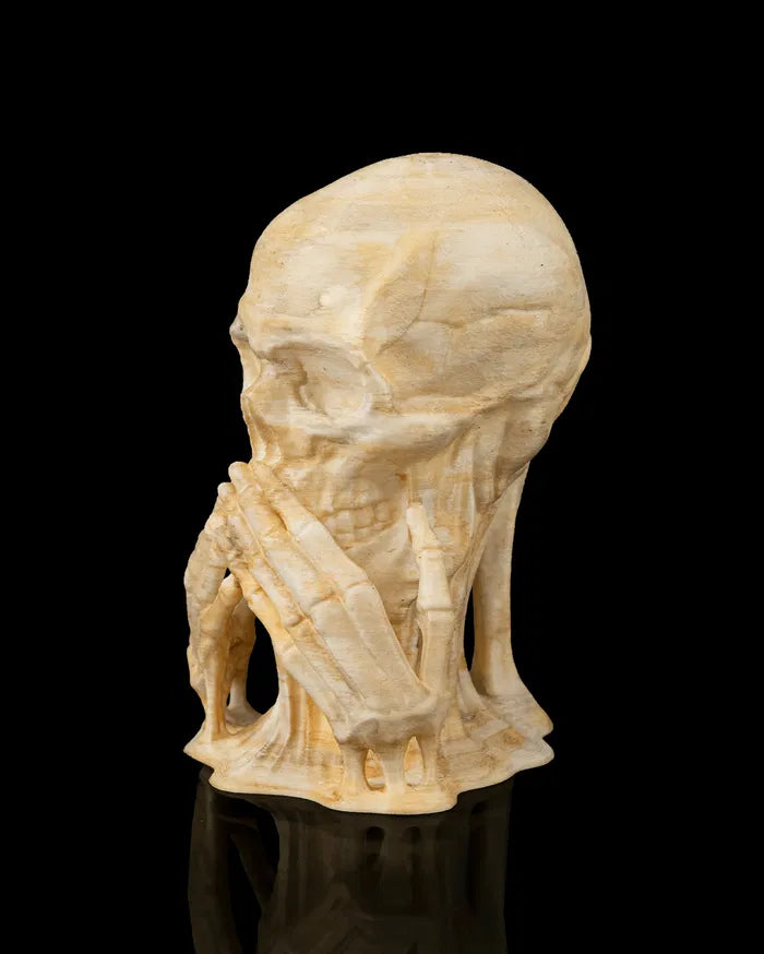 Skulls_of_Wisdom4_280163b0e9