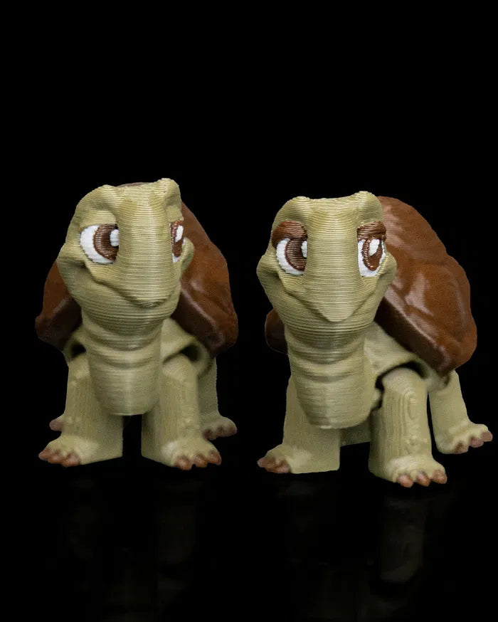 Pair_of_Tortoises1_48f281743e