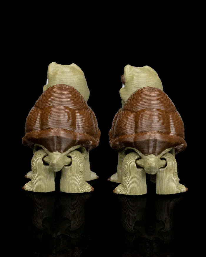Pair_of_Tortoises3_9360fbd7ee