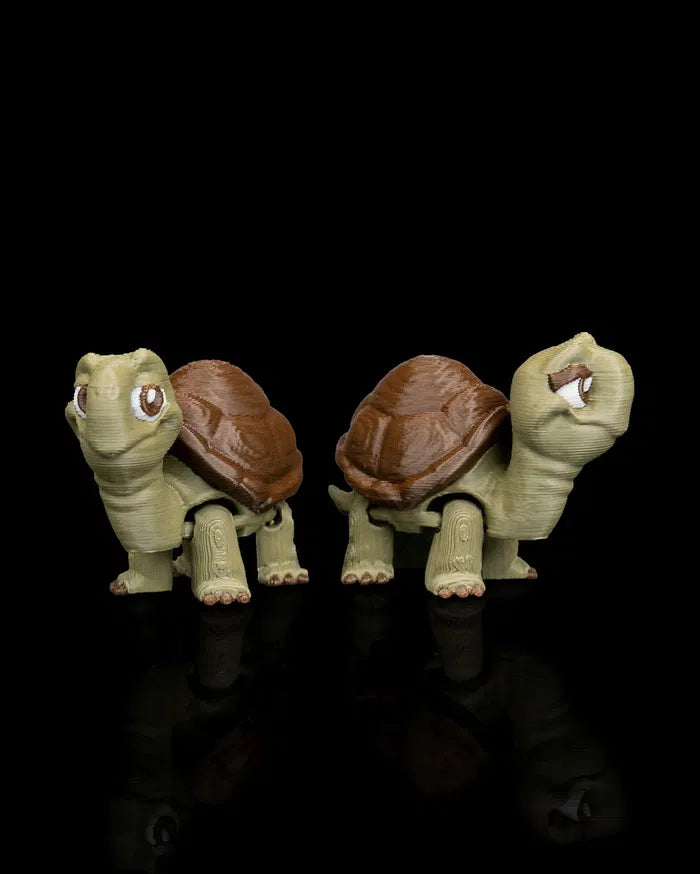 Pair_of_Tortoises4_3583045f94