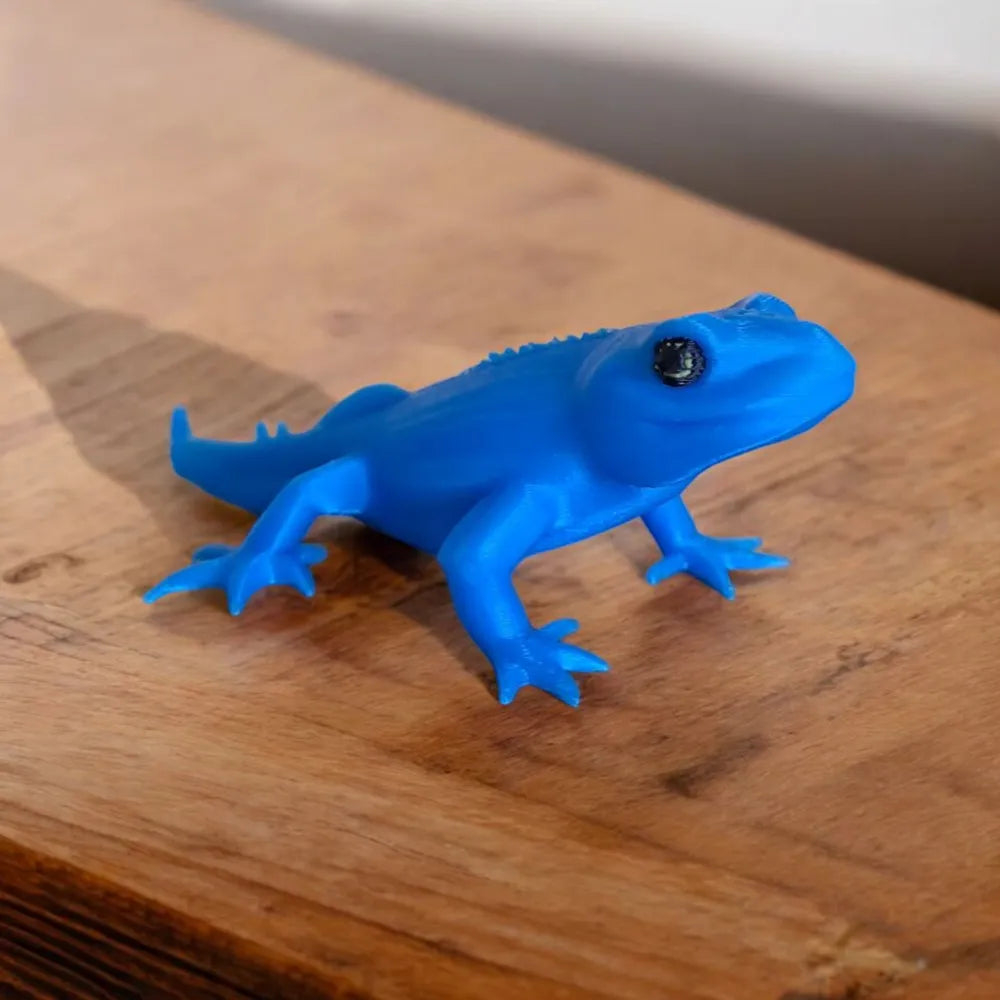 2025-03-09_230ac25a31941