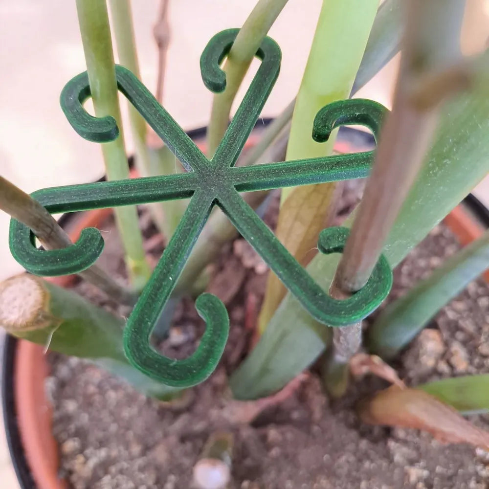 2025-03-02_acbd51dcf69f78