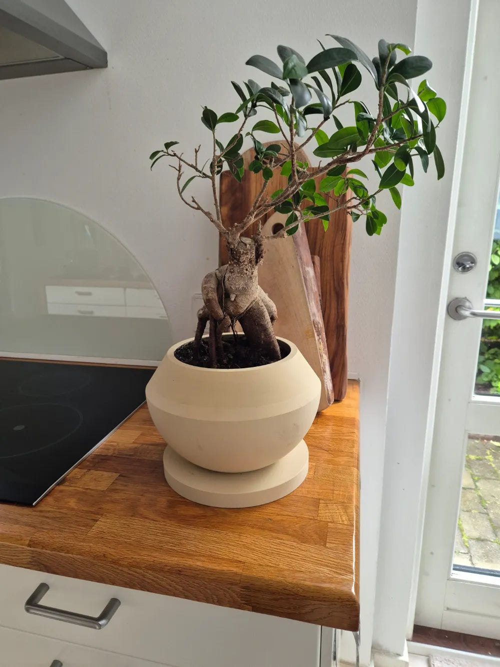 2024-07-14_85e619a3b6be2