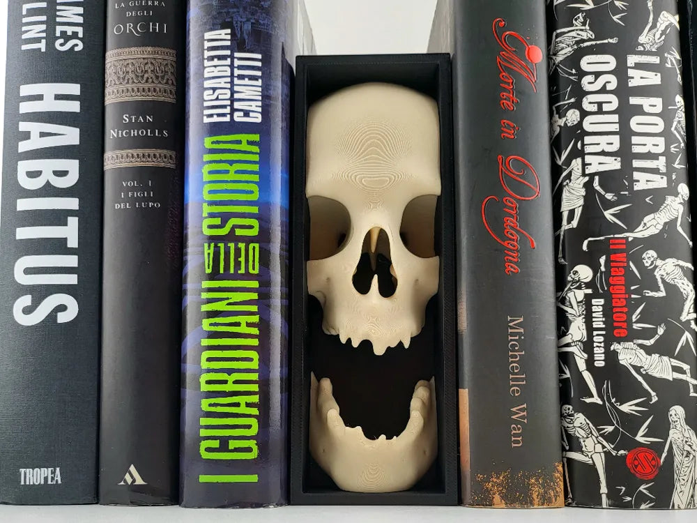 2025-04-02_05676e313fff6