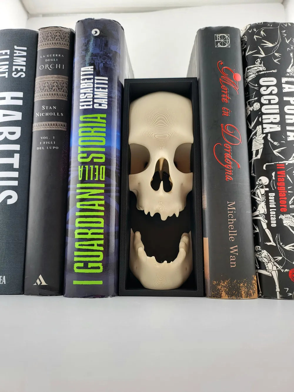 2025-04-02_d24c571376fb8