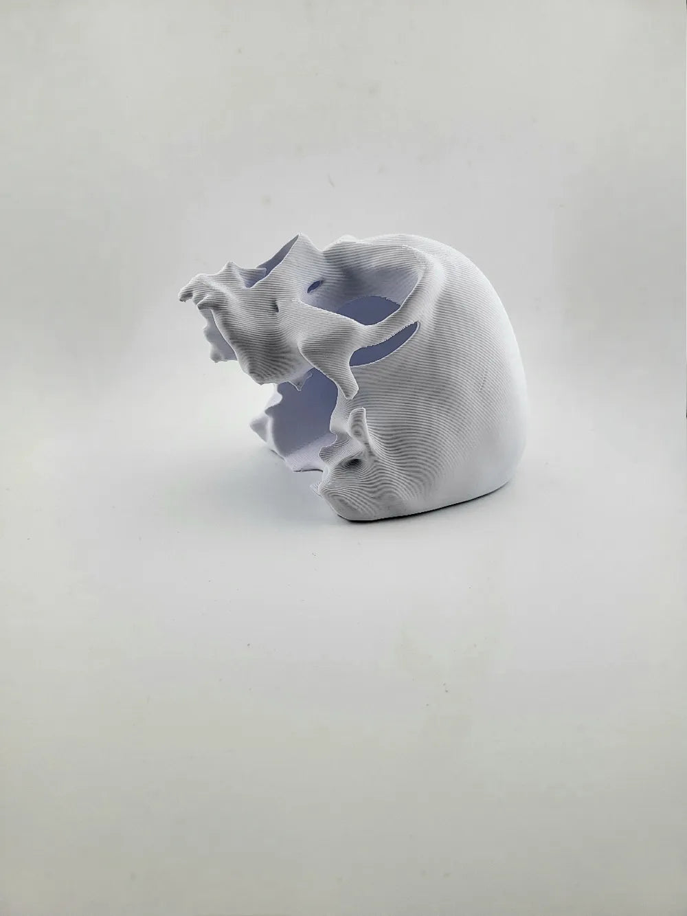 2025-01-12_357383381b31c