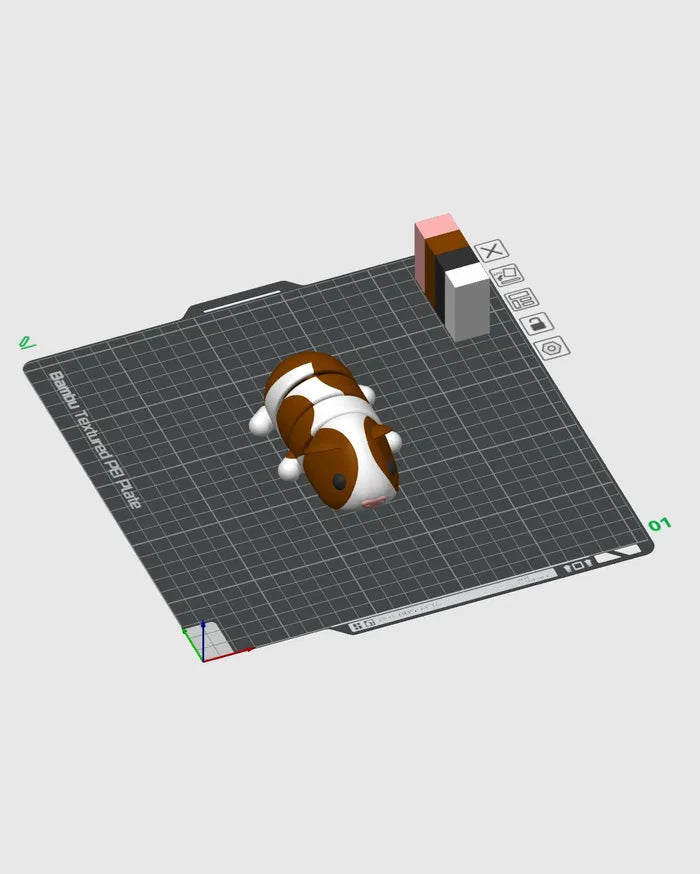 Guinea_pig_in_field_nest_multicolor_057a92c469