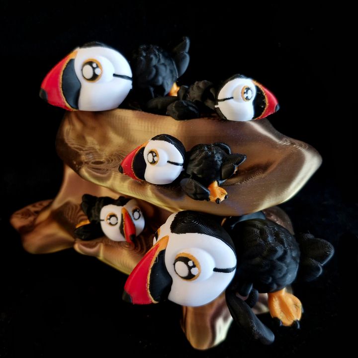 Atlantic Puffin Hatchling