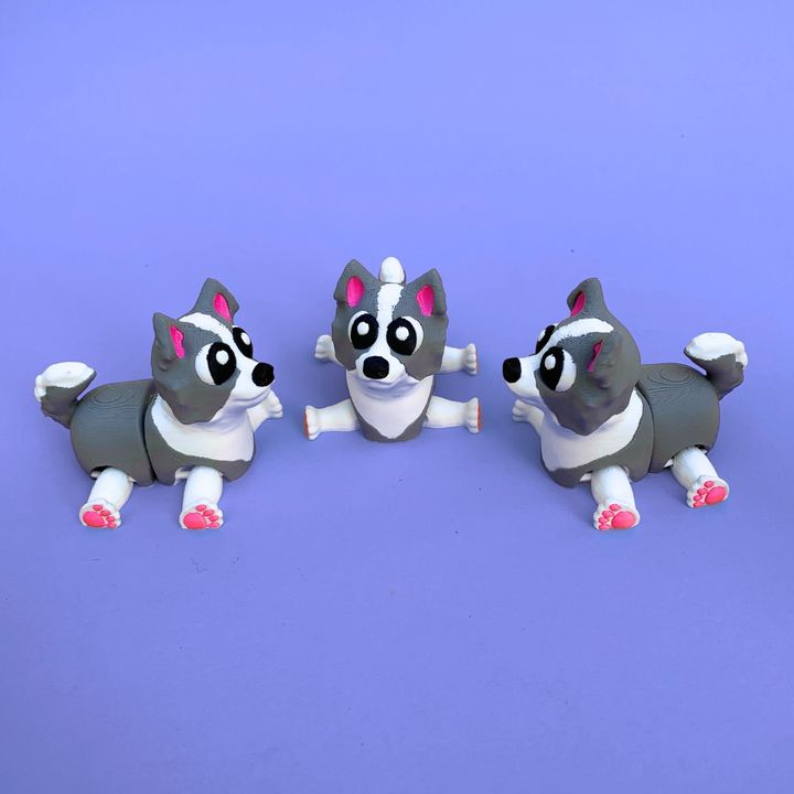 Flexi Border Coolie, Articulated Dog