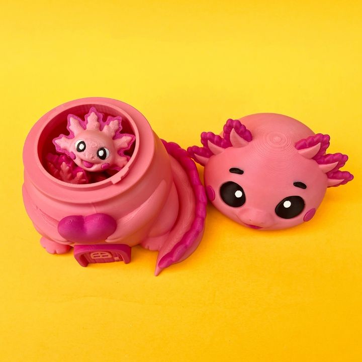 Flexi Axolotl And House Box, Articulated Fidget Aquatic Animal Toy