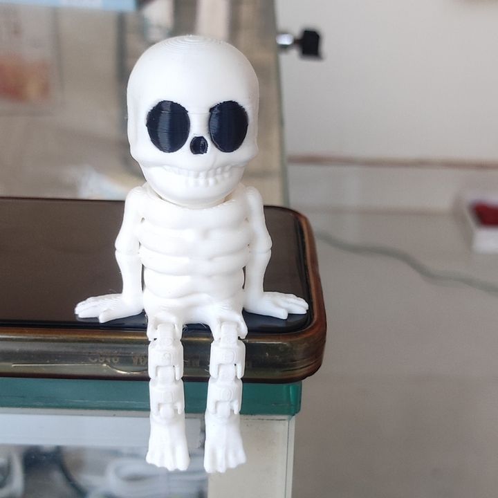 Flexi Skeleton