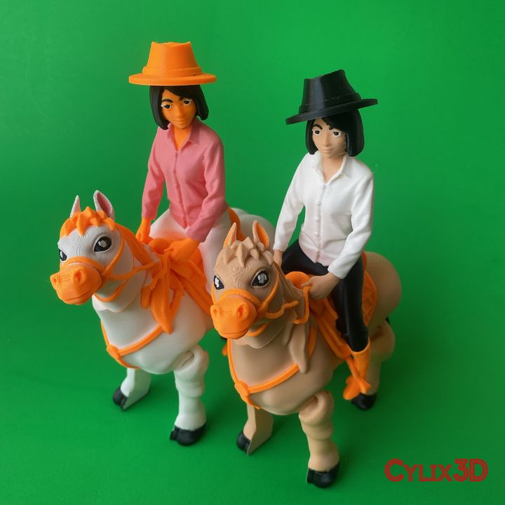 Flexi Cowgirl Horseback Riding