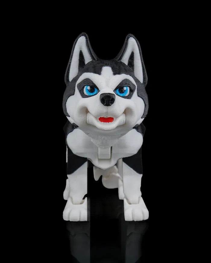 Maya_the_Husky1_f770ee8a94